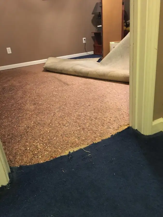 Carpet pad removal revealing water damage during Drying & Dehumidification in Gilford