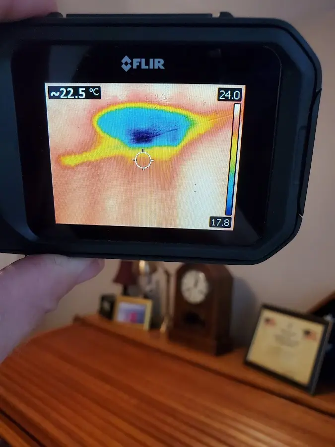 Thermal imaging inspection for water damage in Gilford